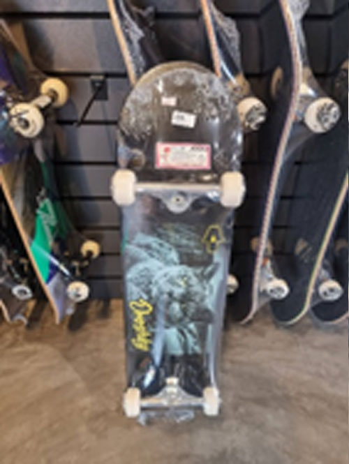 Skateboard Complete